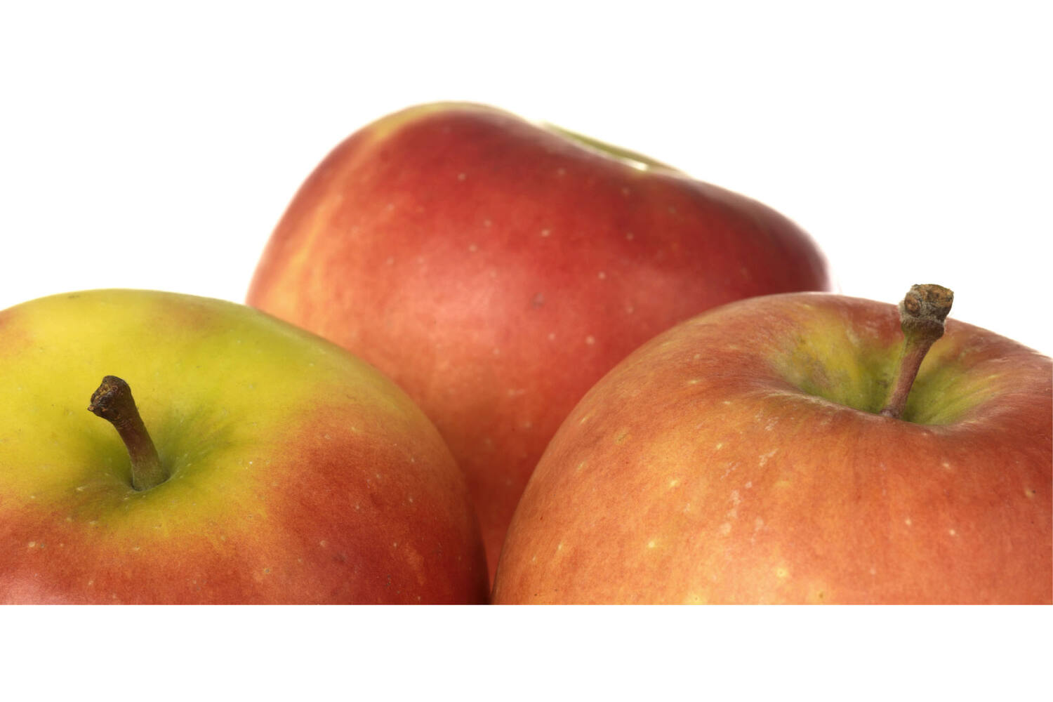 Kanzi appels verpakt 6st stuk 2